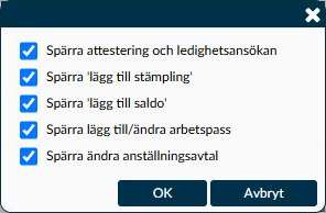 Dialogruta: Begränsning med de fem val som är markerade för en ny administratör.