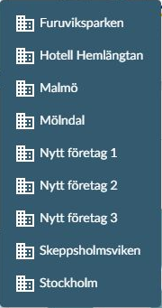 Dialogruta: Företagsväljaren som öppnas från Byt företag.