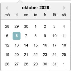 Dialogruta: Datumkalendern för en ny dag på sidan Helgdagar.