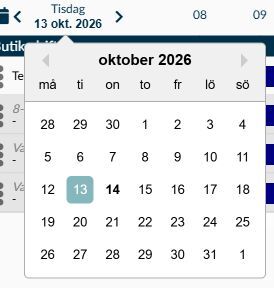 Dialogruta: Datumväljaren i Dagsöversikt med den valda dagen och kalendern för oktober.
